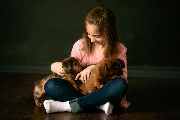 Puppies 2019-35