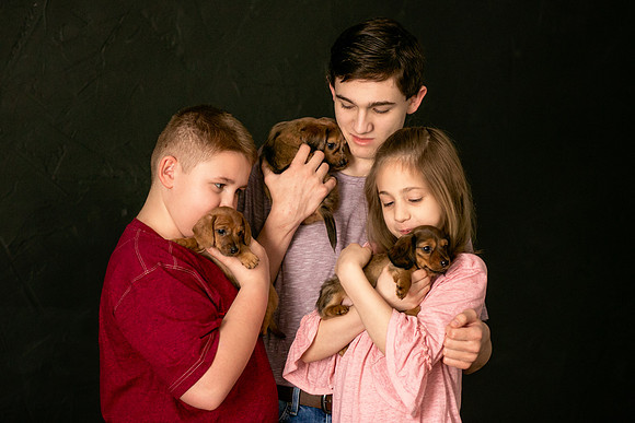Puppies 2019-36
