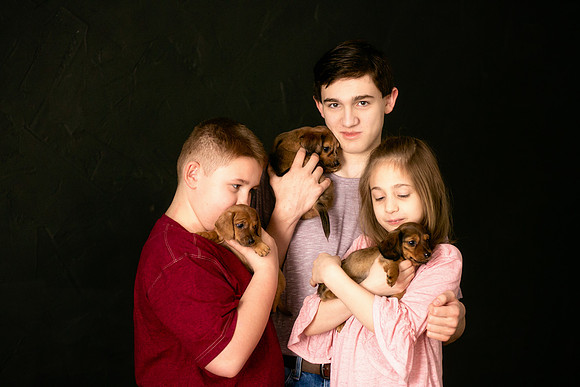 Puppies 2019-37