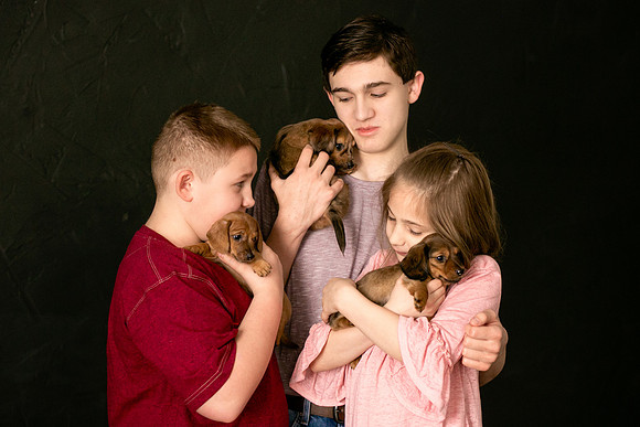Puppies 2019-38