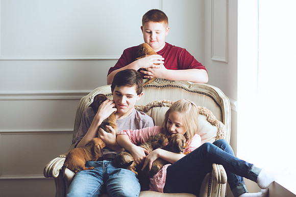 Puppies 2019-39