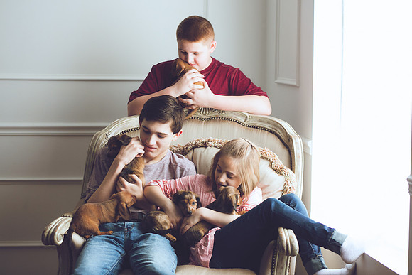 Puppies 2019-40