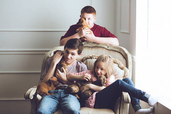 Puppies 2019-41