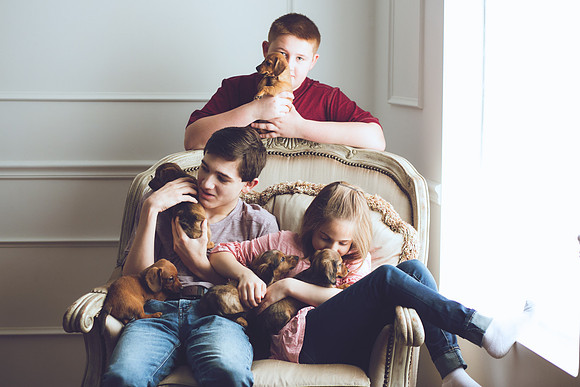 Puppies 2019-42