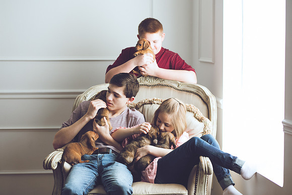 Puppies 2019-43