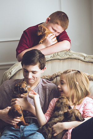 Puppies 2019-44