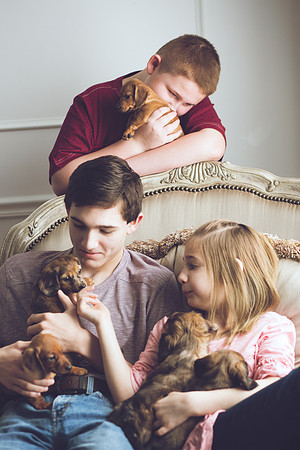 Puppies 2019-45