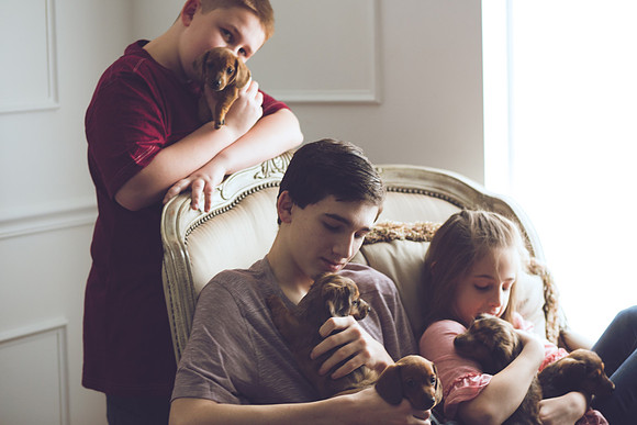 Puppies 2019-46