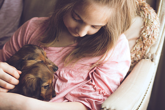 Puppies 2019-48