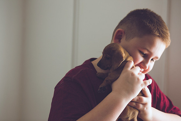 Puppies 2019-49