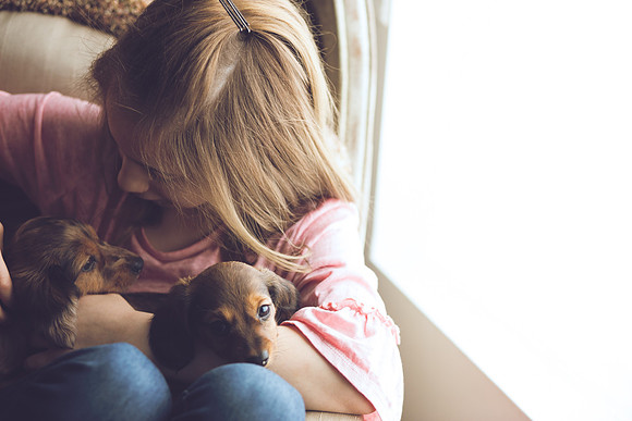 Puppies 2019-50