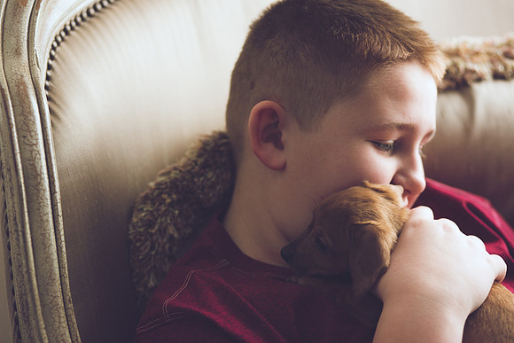 Puppies 2019-51