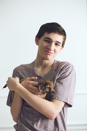Puppies 2019-54