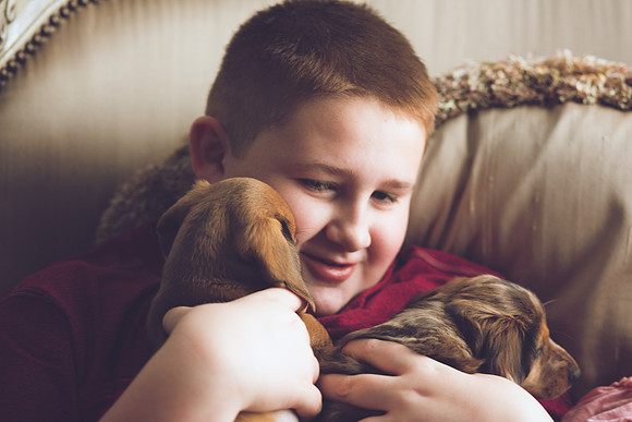 Puppies 2019-58