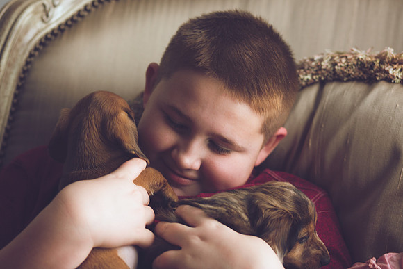 Puppies 2019-59