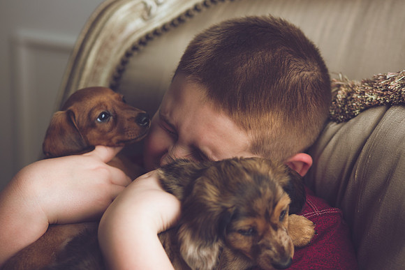 Puppies 2019-60