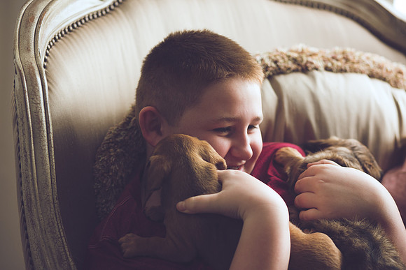 Puppies 2019-62