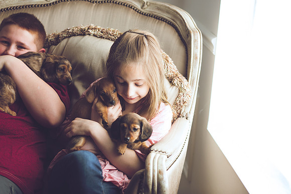 Puppies 2019-65