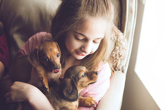 Puppies 2019-66