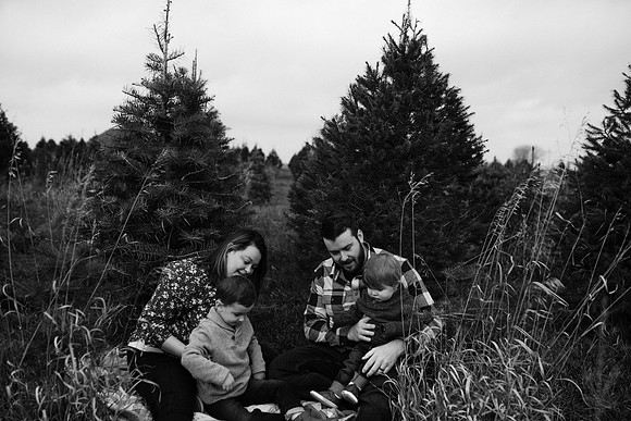 xTree Farm 2020-145
