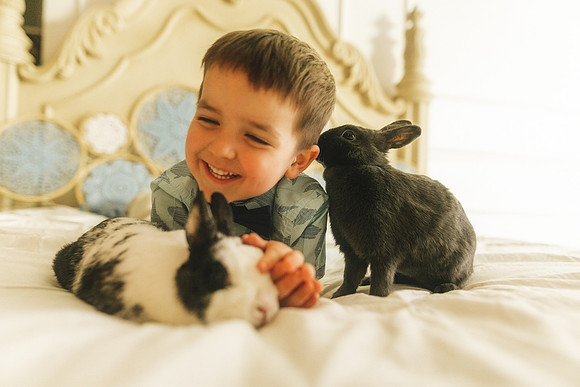 Bunnies 2019-22