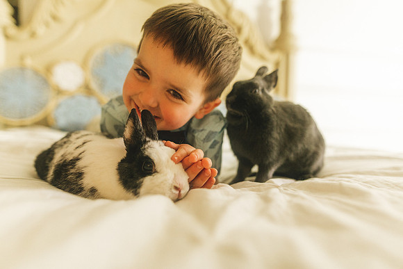 Bunnies 2019-23