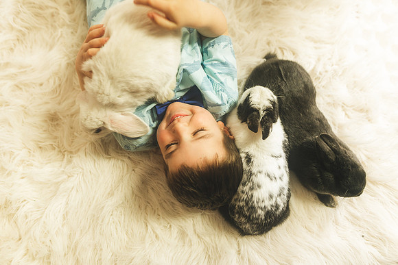 Bunnies 2019-28