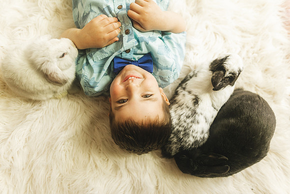 Bunnies 2019-30