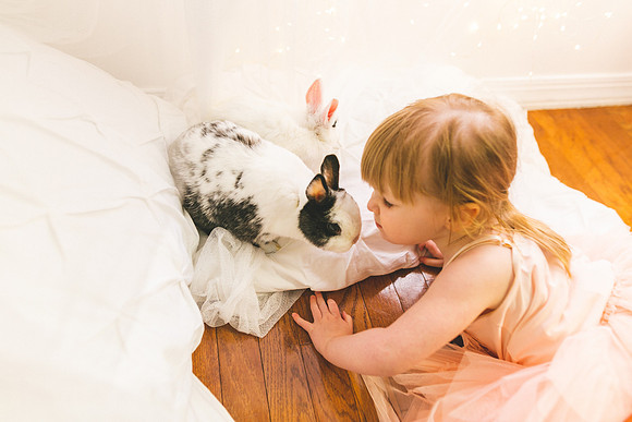 Bunnies 2019-23