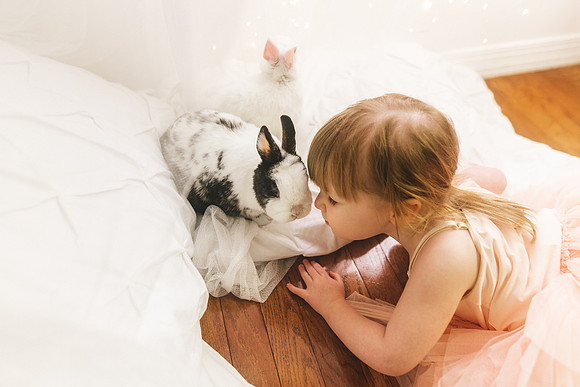 Bunnies 2019-24