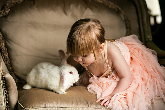 Bunnies 2019-25