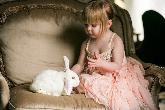 Bunnies 2019-26