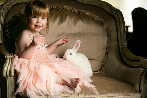 Bunnies 2019-27