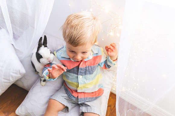 Bunnies 2019-22