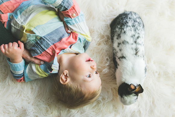 Bunnies 2019-24