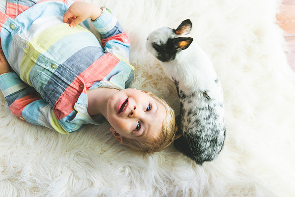 Bunnies 2019-31