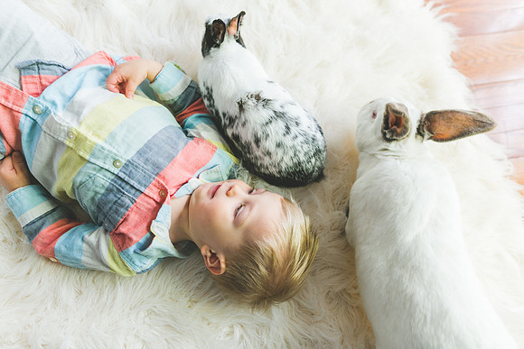Bunnies 2019-33
