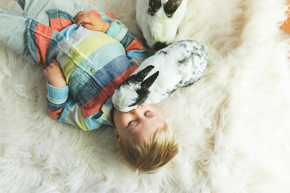 Bunnies 2019-34