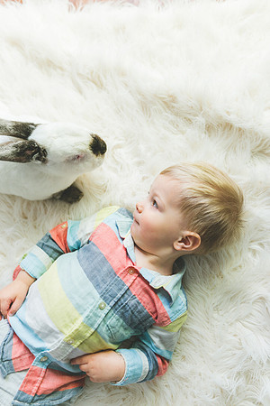 Bunnies 2019-36