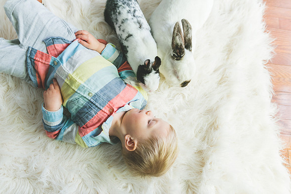 Bunnies 2019-37