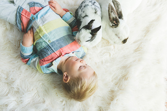 Bunnies 2019-39