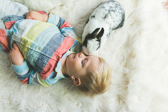 Bunnies 2019-42