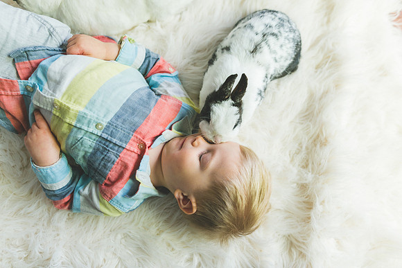 Bunnies 2019-43