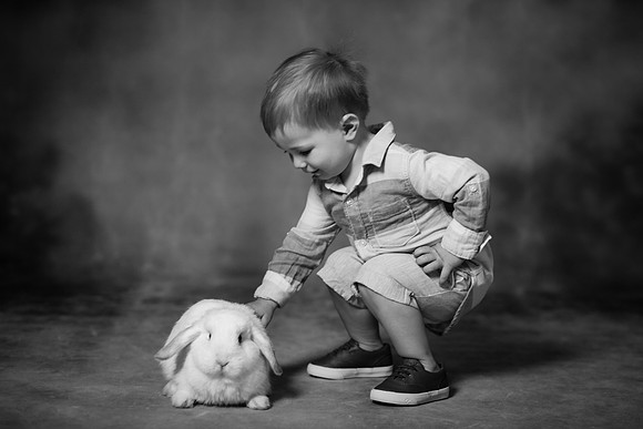 xBunnies 2019-2