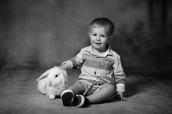 xBunnies 2019-11