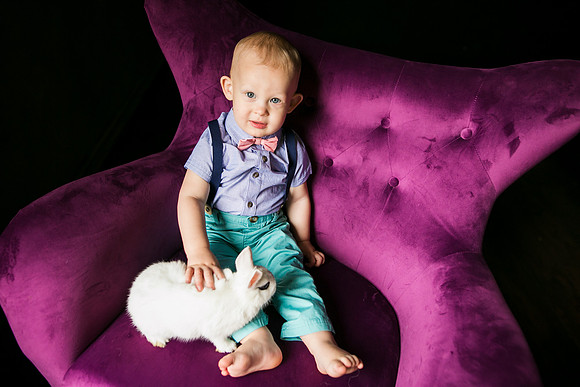 Bunnies 2019-24