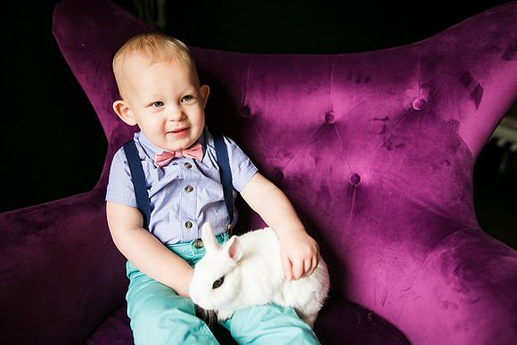 Bunnies 2019-28