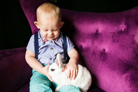 Bunnies 2019-32