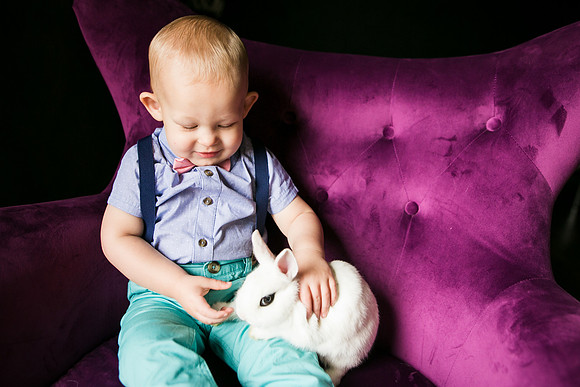 Bunnies 2019-33