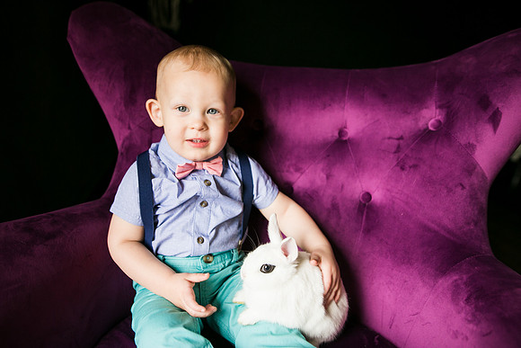 Bunnies 2019-34